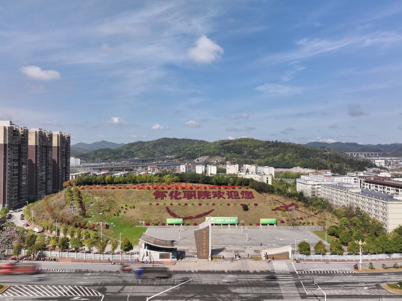 1767176947523091480.jpg 1.jpg